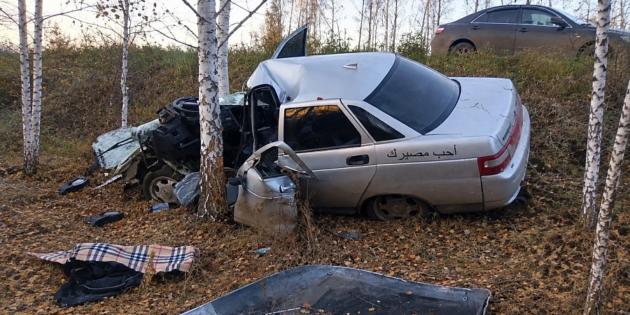 В Кормиловском районе произошло смертельное ДТП